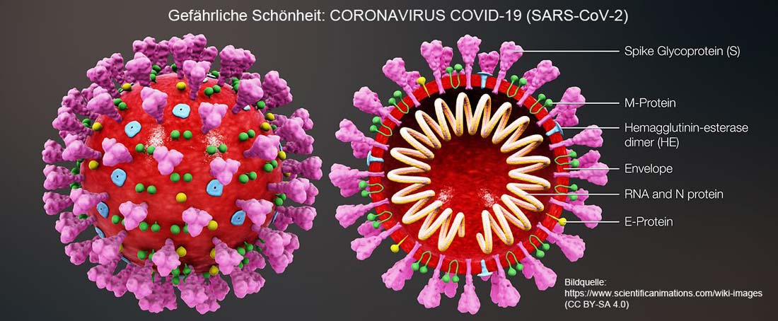 Eine gefährliche Schönheit im Detail: das Corona-Virus