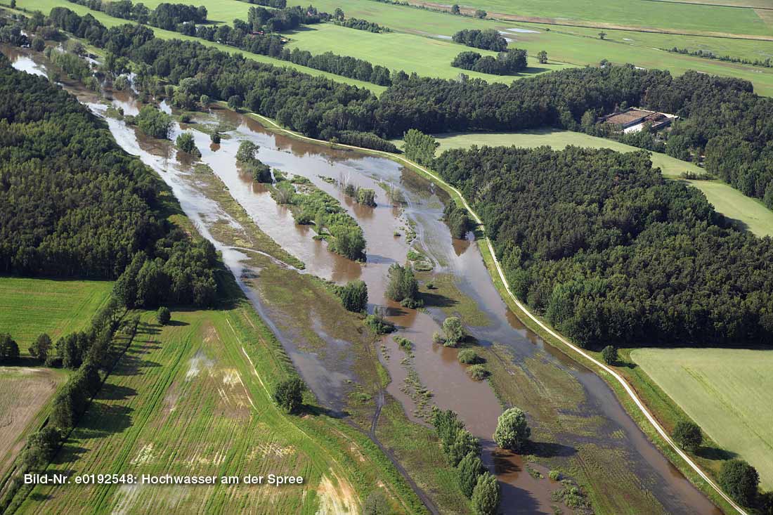 Spree nördlich von Döbbrick im Juni 2013