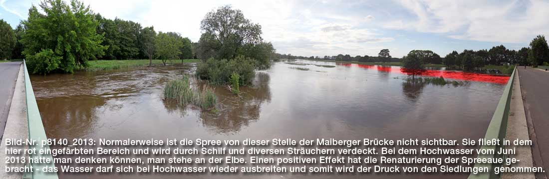 Bild-Nr. p8140_2013: Normalerweise ist die Spree von dieser Stelle der Maiberger Brücke nicht sichtbar. Sie fließt in dem hier rot eingefärbten Bereich und wird durch Schilf und diversen Sträuchern verdeckt. Bei dem Hochwasser vom Juni 2013 hätte man denken können, man stehe an der Elbe. Einen positiven Effekt hat die Renaturierung der Spreeaue gebracht - das Wasser darf sich bei Hochwasser wieder ausbreiten und somit wird der Druck von den Siedlungen genommen.